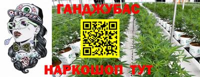 дмт Пушкино