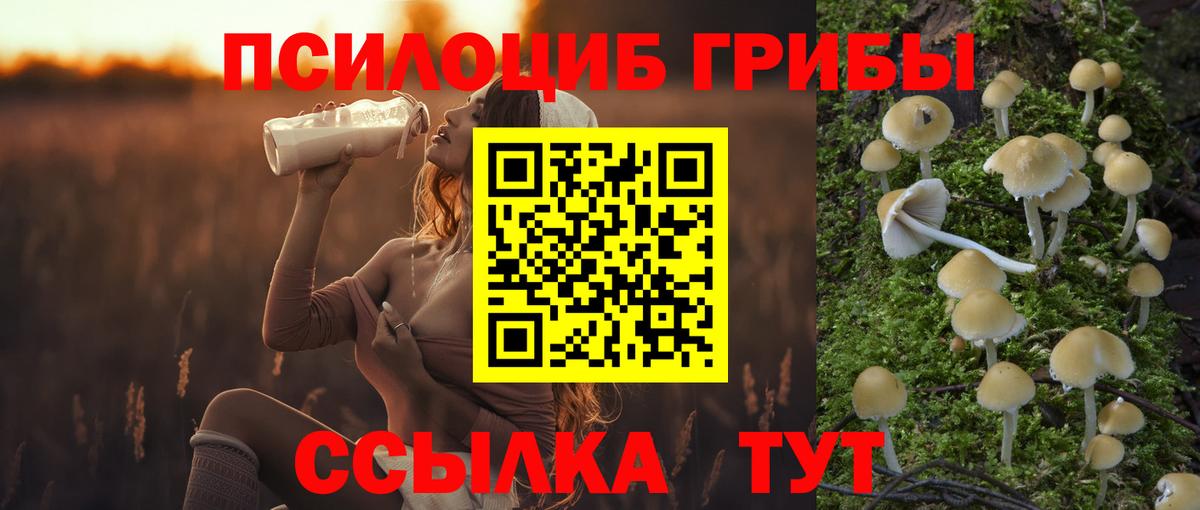 Псилоцибиновые грибы Psilocybine cubensis  Псилоцибиновые грибы ЛСД  Аргун  Вход с VPN 