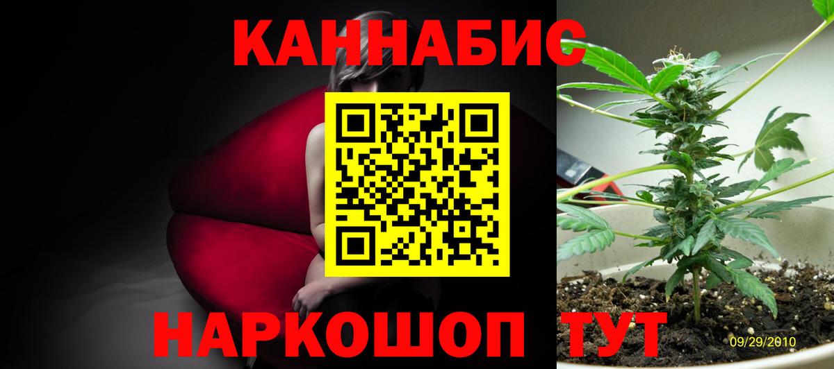 Аргун  Бошки Шишки семена  МАРИХУАНА марихуана  Марихуана Amnesia  Вход с VPN 